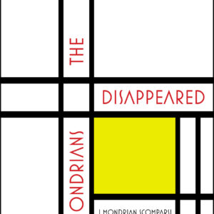 cover The Disappeared Mondrians